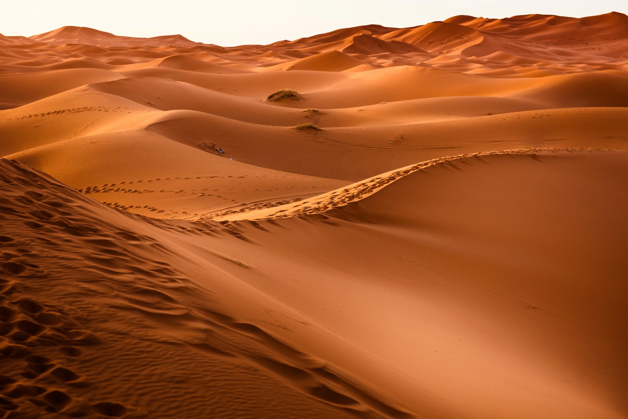 Developing a Novel Method for Monitoring Ecologically-Important Sand Dune Habitats Using Satellite Data